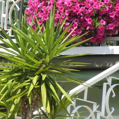 Haus Esplanade - Adults Only