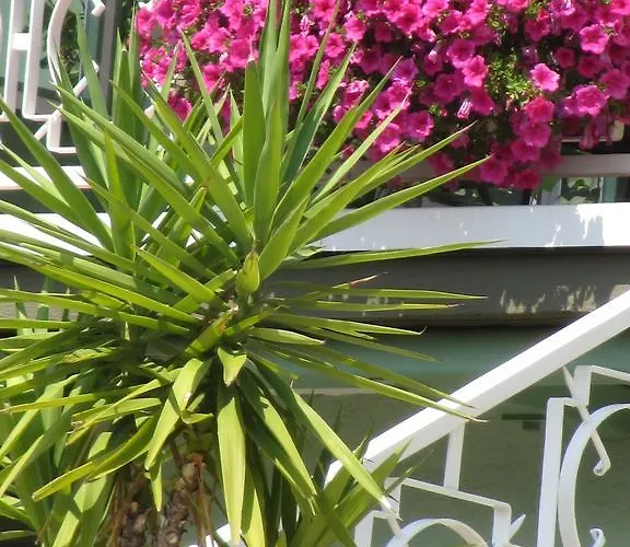 Haus Esplanade - Adults Only