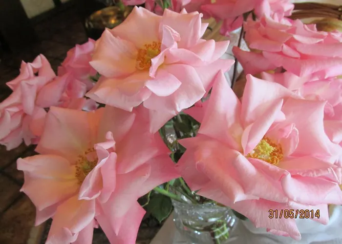 Haus Esplanade - Adults Only 3*